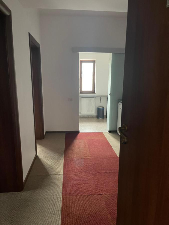 Vila Cu Trandafiri Cozy Apartments 2 Camere Bragadiru Luaran gambar